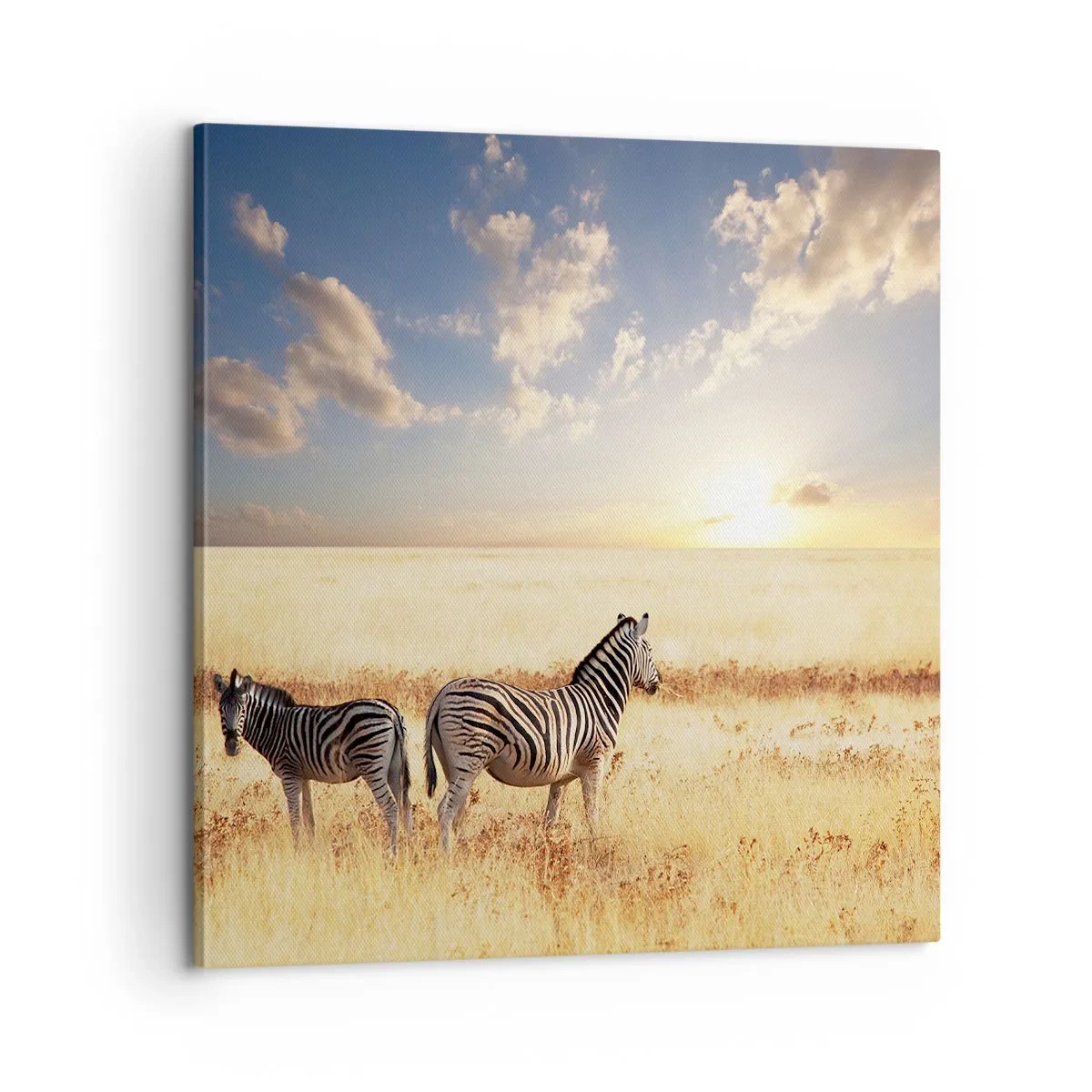 Quadro su tela - Stampe su Tela - Allontanati, non disturbare - 60x60 cm