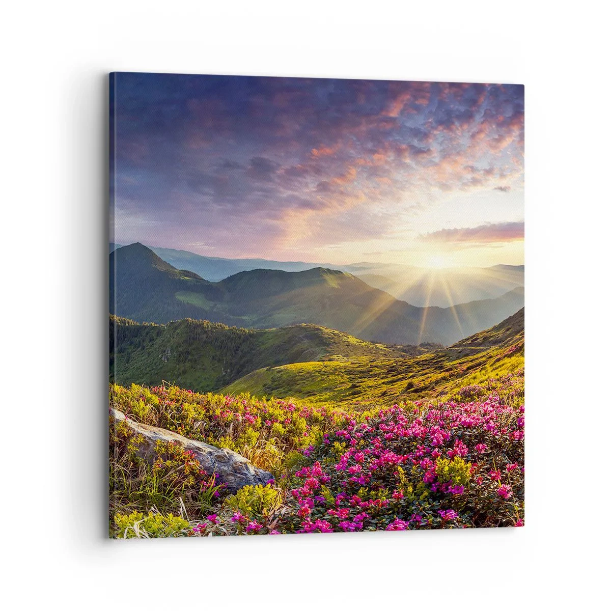 Quadro su tela - Stampe su Tela - La freschezza di un mattino sui monti - 70x70 cm