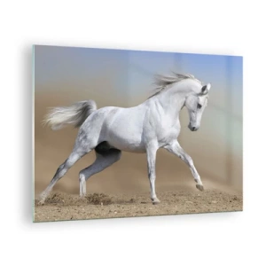 Quadro su vetro - Un cavallo bianco che galoppa sul terreno sabbioso - 70x50cm - La più bella favola araba - Decorazione murale moderna per soggiorno e camera da letto ARTTOR