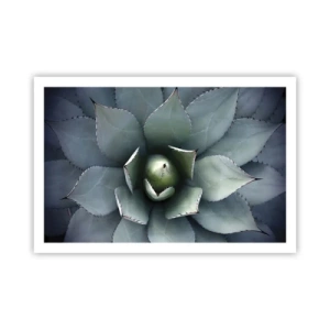 Poster - Adesca e minaccia - 91x61 cm