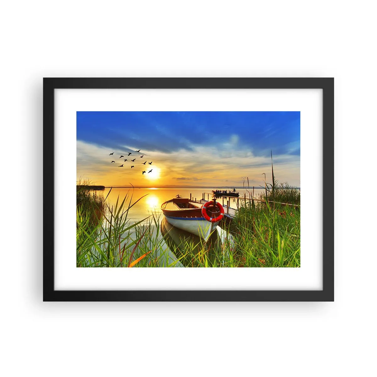 Poster in cornice nera - I cormorano volano già via - 40x30 cm
