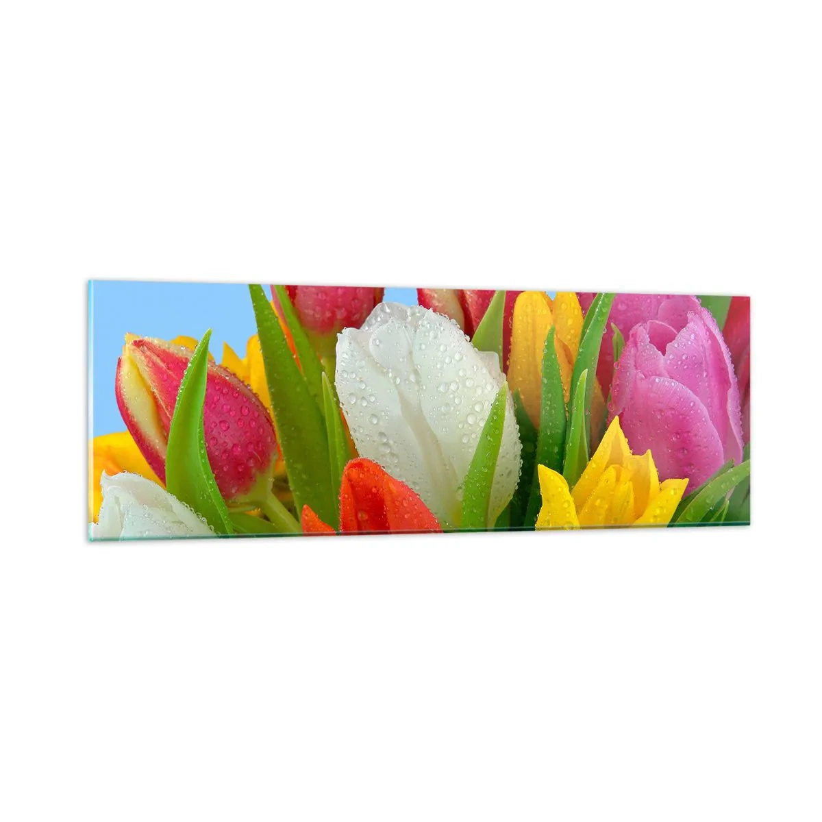 Quadro su vetro - Fiori multicolori nella rugiada - 90x30 cm