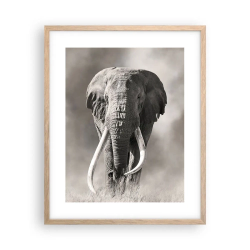 Poster in cornice rovere chiaro - Patriarca africano - 40x50 cm