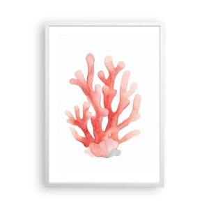 Poster in cornice bianca - Corallo color corallo - 50x70 cm