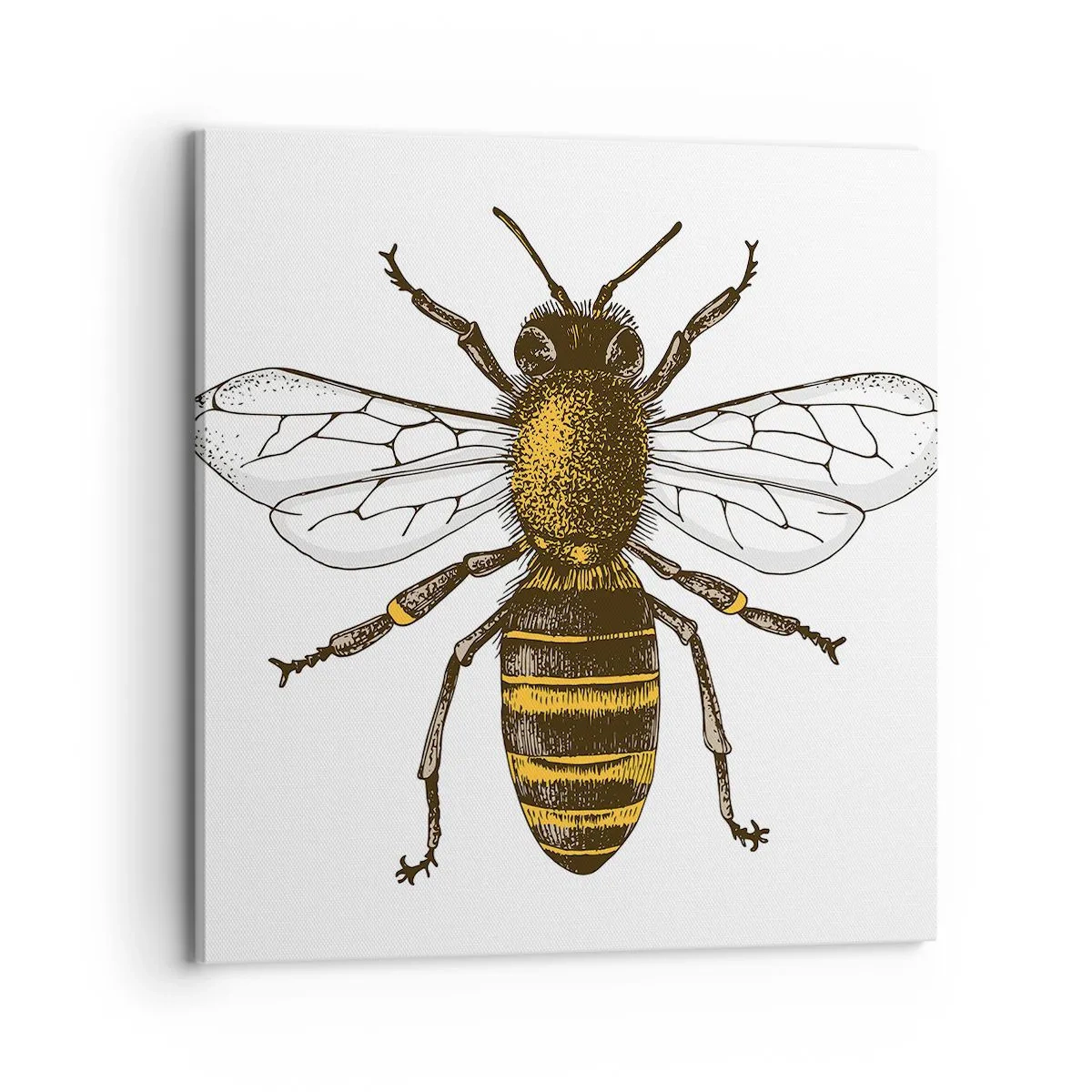 Quadro su tela - Stampe su Tela - Bella e buona - 70x70 cm