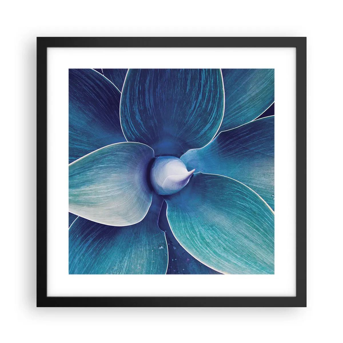 Poster in cornice nera - Imbluito dal sole - 40x40 cm