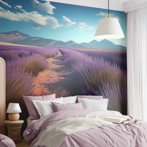Fotomurali Autoadesivo Deluxe Sticker - Campi profumati - Lavanda, Orizzonte, Paesaggio - 100x70 cm