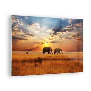 Quadro su vetro - Elefanti nella savana africana al tramonto - 70x50cm - Passeggiata familiare - Decorazione murale moderna per soggiorno e camera da letto ARTTOR
