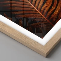 Rovere chiaro