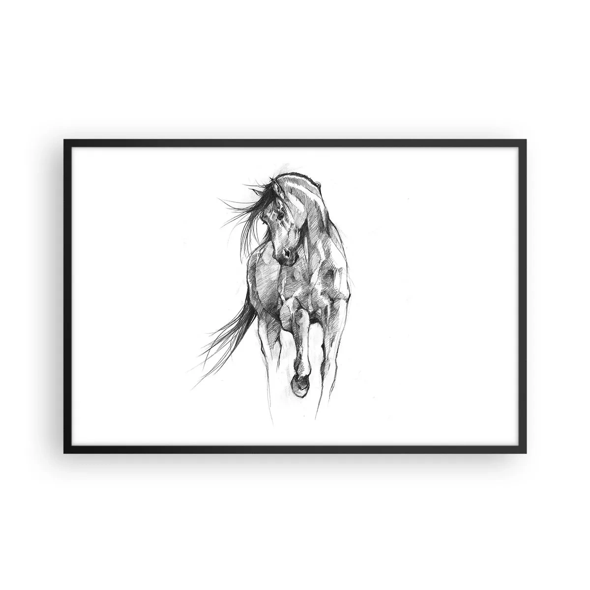 Poster in cornice nera - Trotto aggraziato - 91x61 cm