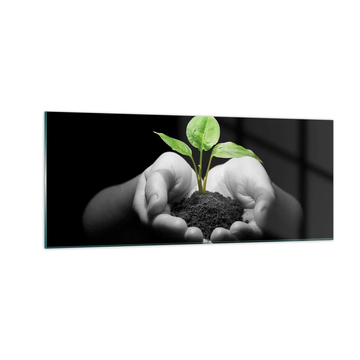 Quadro su vetro - Amo la natura, la proteggo - 100x40 cm