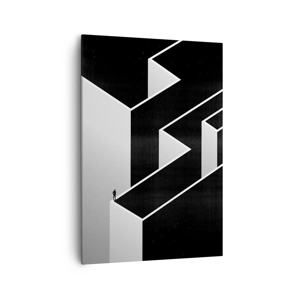 Quadro su tela - Stampe su Tela - Solitudine al vertice - 70x100 cm