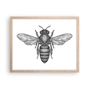 Poster in cornice rovere chiaro - Ritratto d'insetto - 50x40 cm