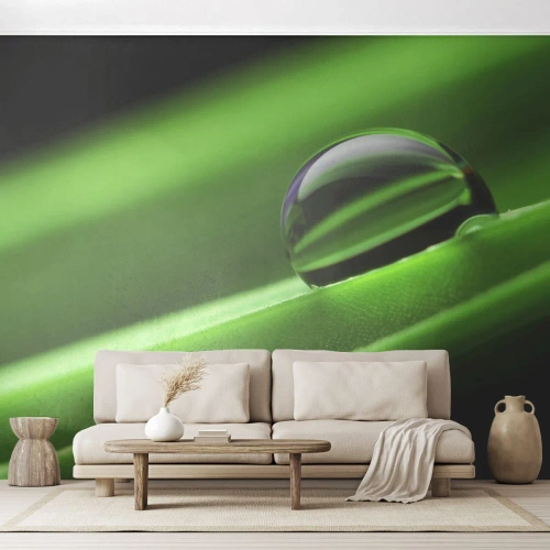 Fotomurali Premium Canvas - La vita da vicino - Astrazione, Grafica, Una goccia d'acqua - 350x256 cm