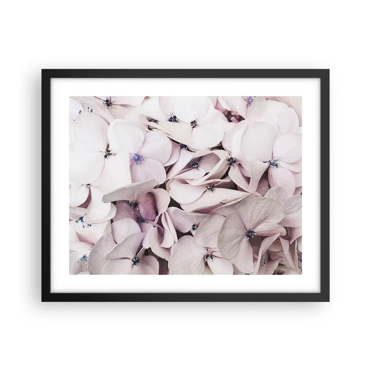 Poster in cornice nera - Un'alluvione di fiori - 50x40 cm