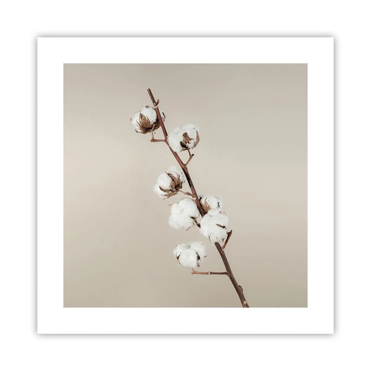 Poster - Alla fonte della morbidezza - 40x40 cm