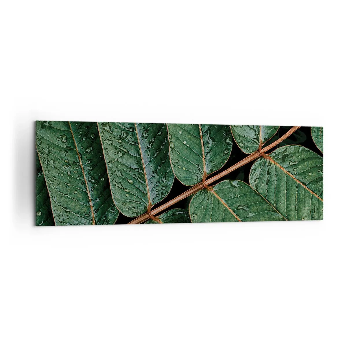 Quadro su tela - Stampe su Tela - Macro di foglie verdi con gocce di rugiada - 160x50cm - Al ritmo verde - Decorazione murale moderna per soggiorno e camera da letto ARTTOR