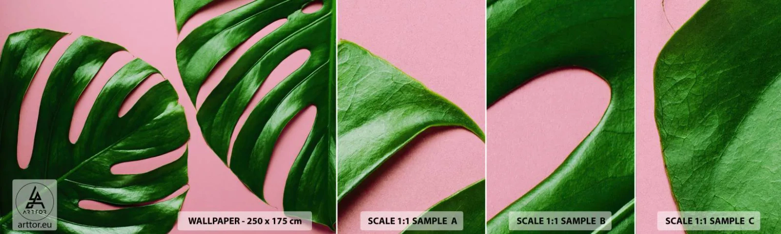 Campione Di Fotomurale Standard Eco - Appuntamento in verde - Monstera, Foglia verde, Pianta esotica - 100x30 cm