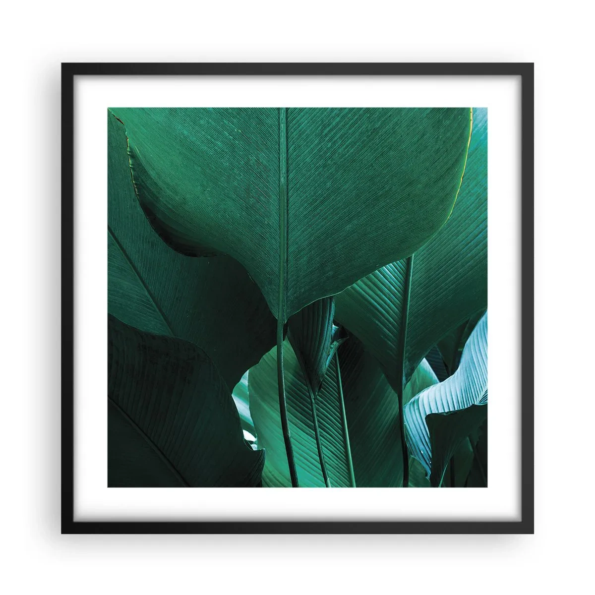 Poster in cornice nera - Verso la luce - 50x50 cm