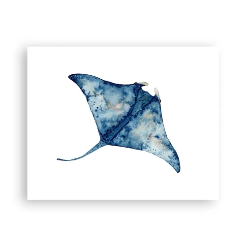 Poster - Vita nel blu - 50x40 cm