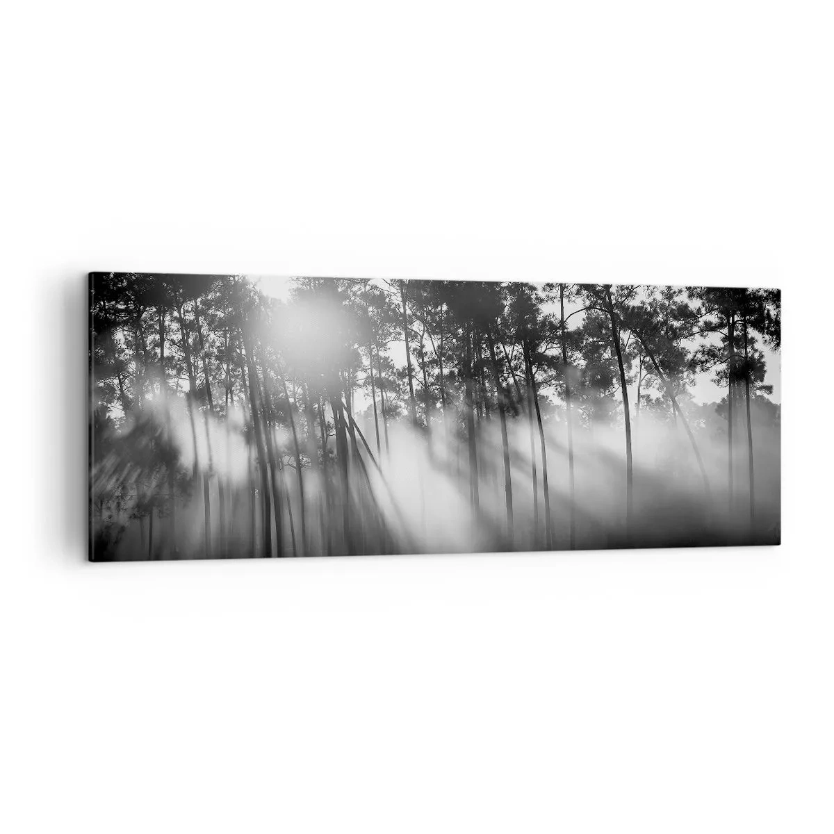 Quadro su tela - Stampe su Tela - Foresta bianca e nera nella nebbia mattutina - 140x50cm - Sole irrefrenabile - Decorazione murale moderna per soggiorno e camera da letto ARTTOR
