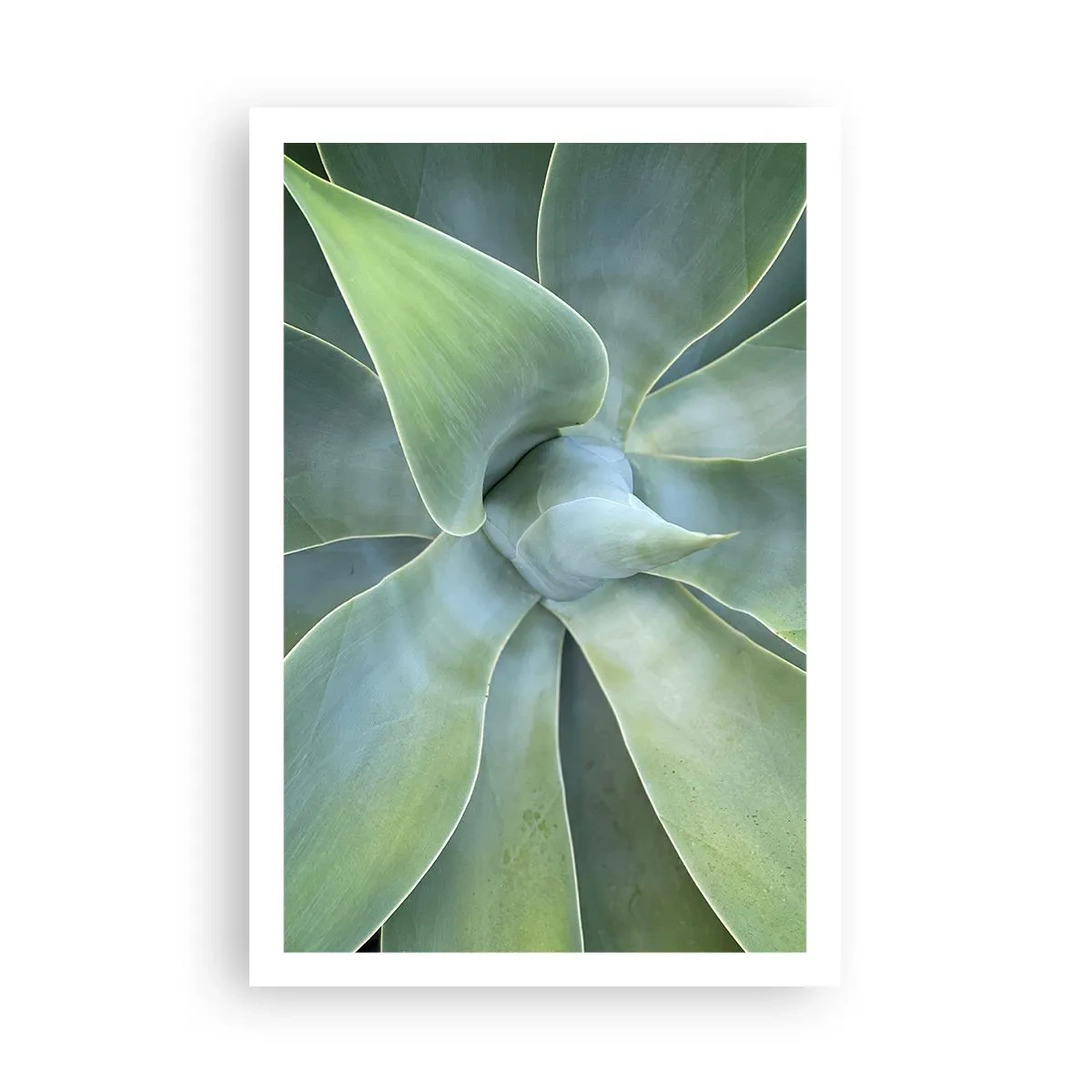 Poster - La nascita del verde - 61x91 cm