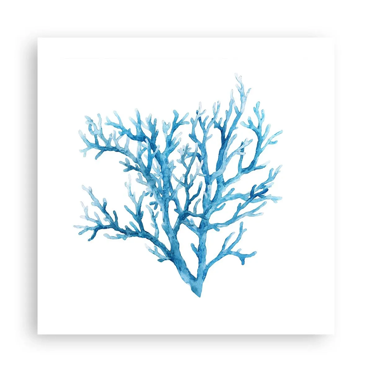 Poster - Filigrana marina - 50x50 cm