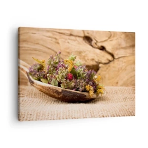 Quadro su tela - Stampe su Tela - Erbe essiccate in un cucchiaio di legno su uno sfondo di legno naturale - 70x50cm - Fiori colorati ed erbe odorose - Decorazione murale moderna per soggiorno e camera da letto ARTTOR