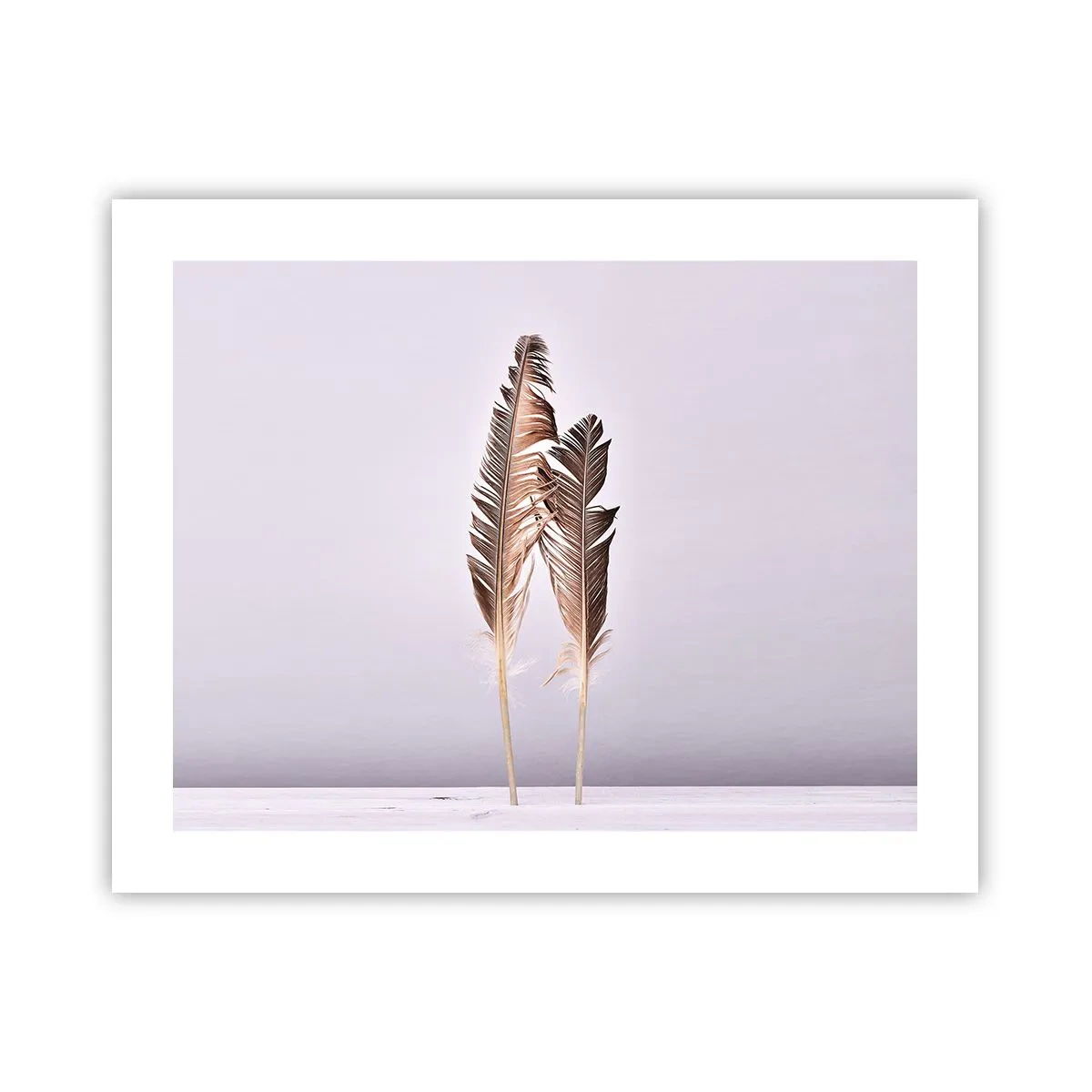 Poster - Contro il nulla - 50x40 cm