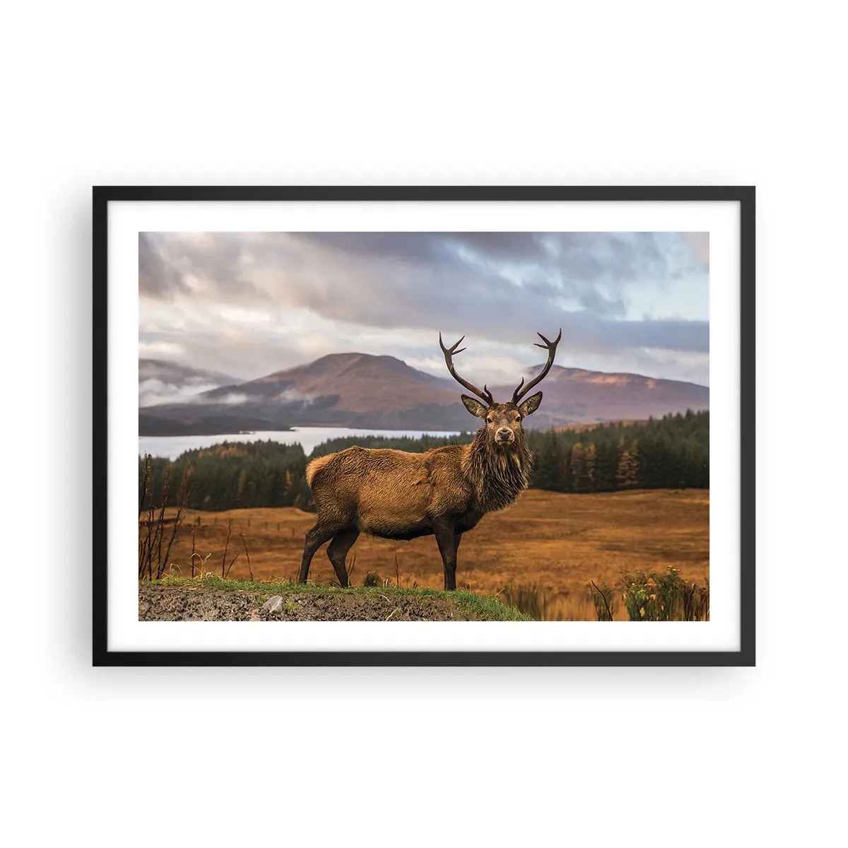 Poster in cornice nera - Un cervo sullo sfondo di un paesaggio montano con laghi e foresta - 70x50cm - Maestà della natura - Decorazione murale moderna per soggiorno e camera da letto ARTTOR