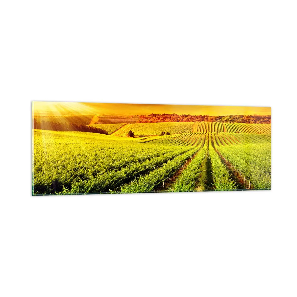 Quadro su vetro - Sotto il sole dell'Australia - 90x30 cm