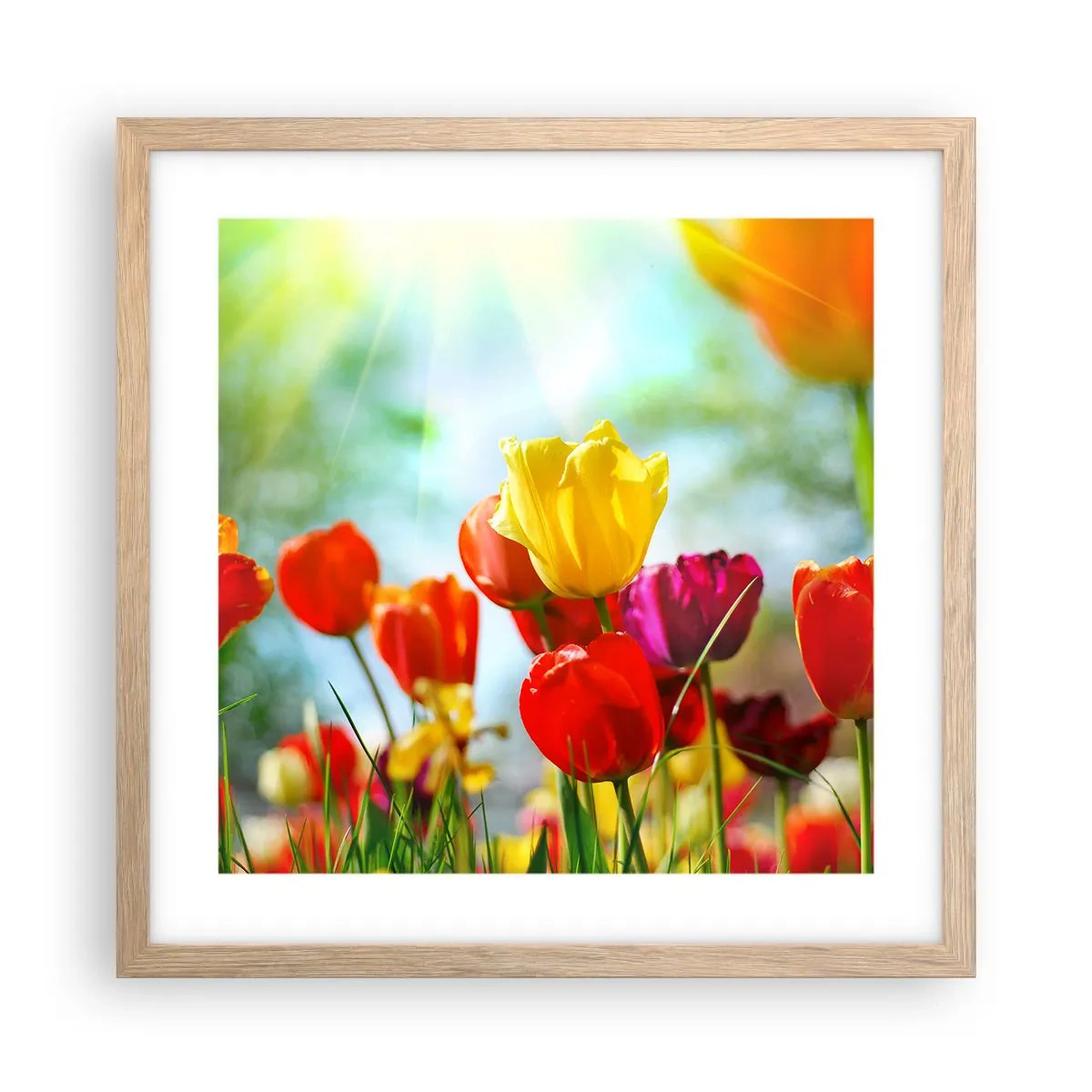 Poster in cornice rovere chiaro - Tutti i colori del sole - 40x40 cm