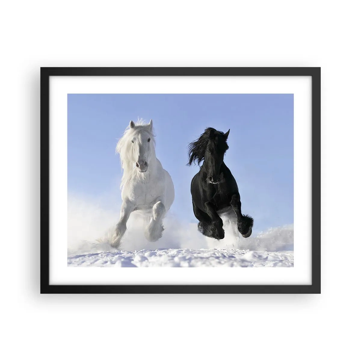 Poster in cornice nera - Galoppo in bianco e nero - 50x40 cm