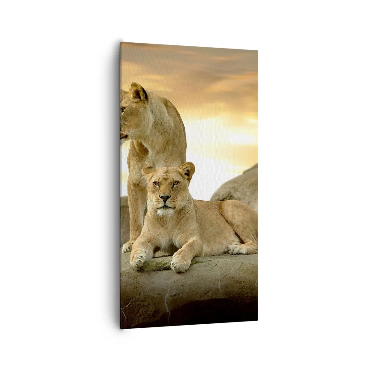 Quadro su tela - Stampe su Tela - Maestà reale - 65x120 cm