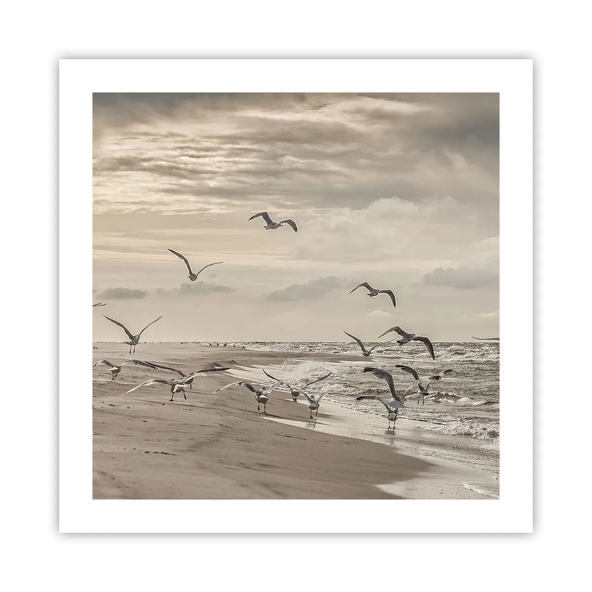 Poster - Brusio del mare, canto degli uccelli - 50x50 cm