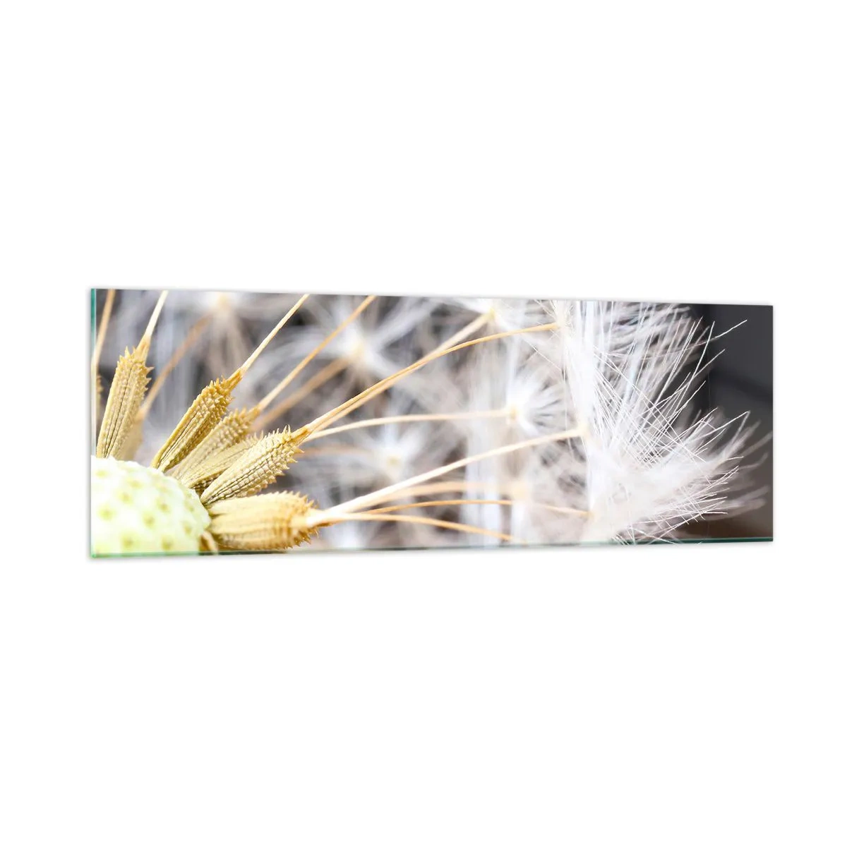 Quadro su vetro - Subito prima del decollo - 90x30 cm