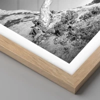 Rovere chiaro