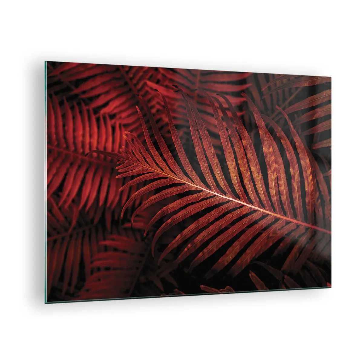 Quadro su vetro - Foglie rosse di una pianta tropicale su uno sfondo scuro - 70x50cm - Il calore della vita - Decorazione murale moderna per soggiorno e camera da letto ARTTOR