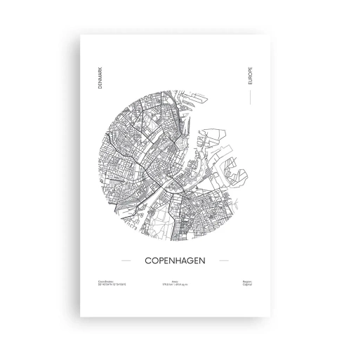 Poster - Anatomia di Copenaghen - 61x91 cm