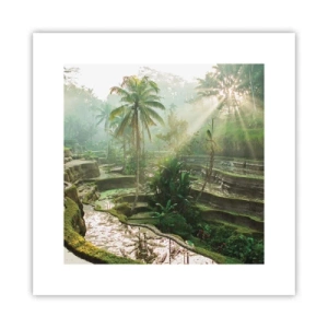 Poster - Crescere al sole - 30x30 cm