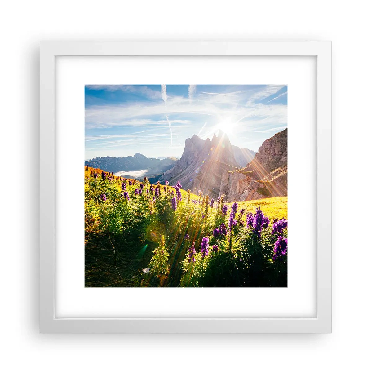 Poster in cornice bianca - La vita segreta delle erbe - 30x30 cm