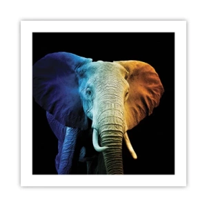 Poster - Eccentrico, non strano - 50x50 cm