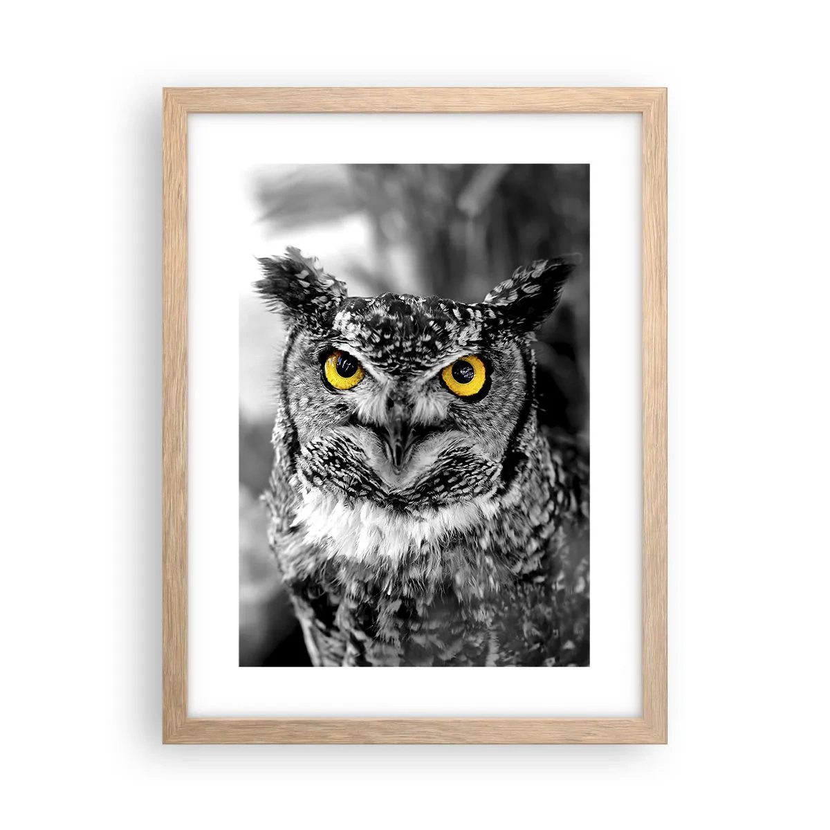 Poster in cornice rovere chiaro - Non si può nascondere niente - 30x40 cm