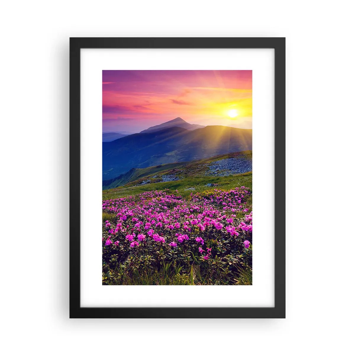 Poster in cornice nera - Odore di mugo e profumo di erbe - 30x40 cm