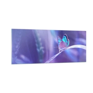 Quadro su vetro - Gioielli della natura - 100x40 cm