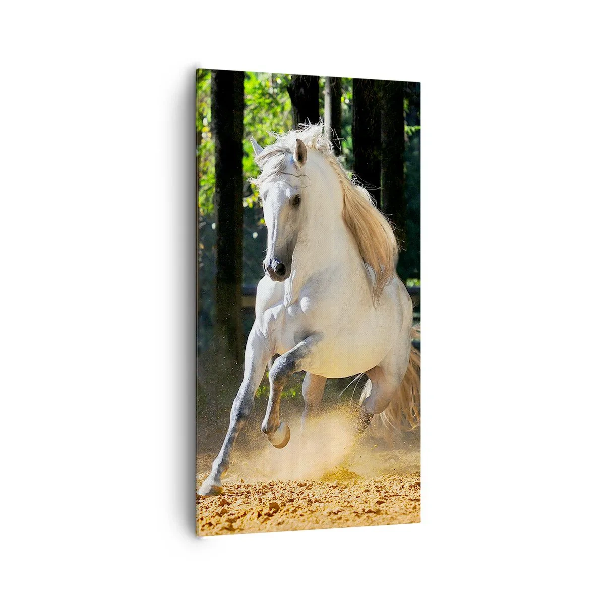 Quadro su tela - Stampe su Tela - Come nei racconti fantasy - 65x120 cm