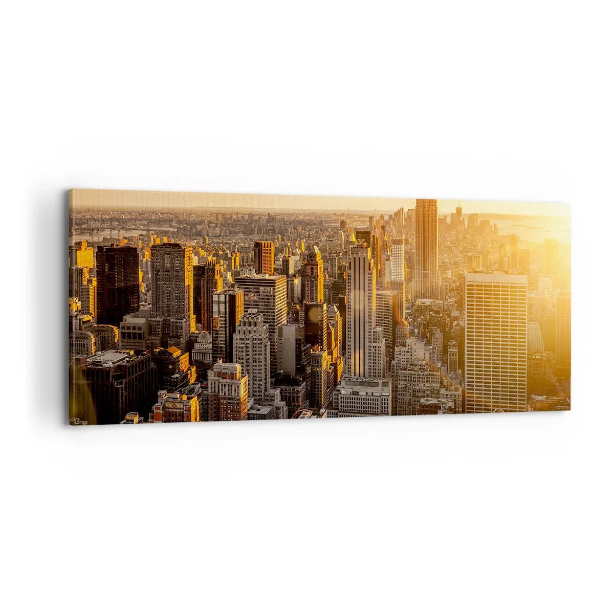 Quadro su tela - Stampe su Tela - Crescere al sole - 100x40 cm