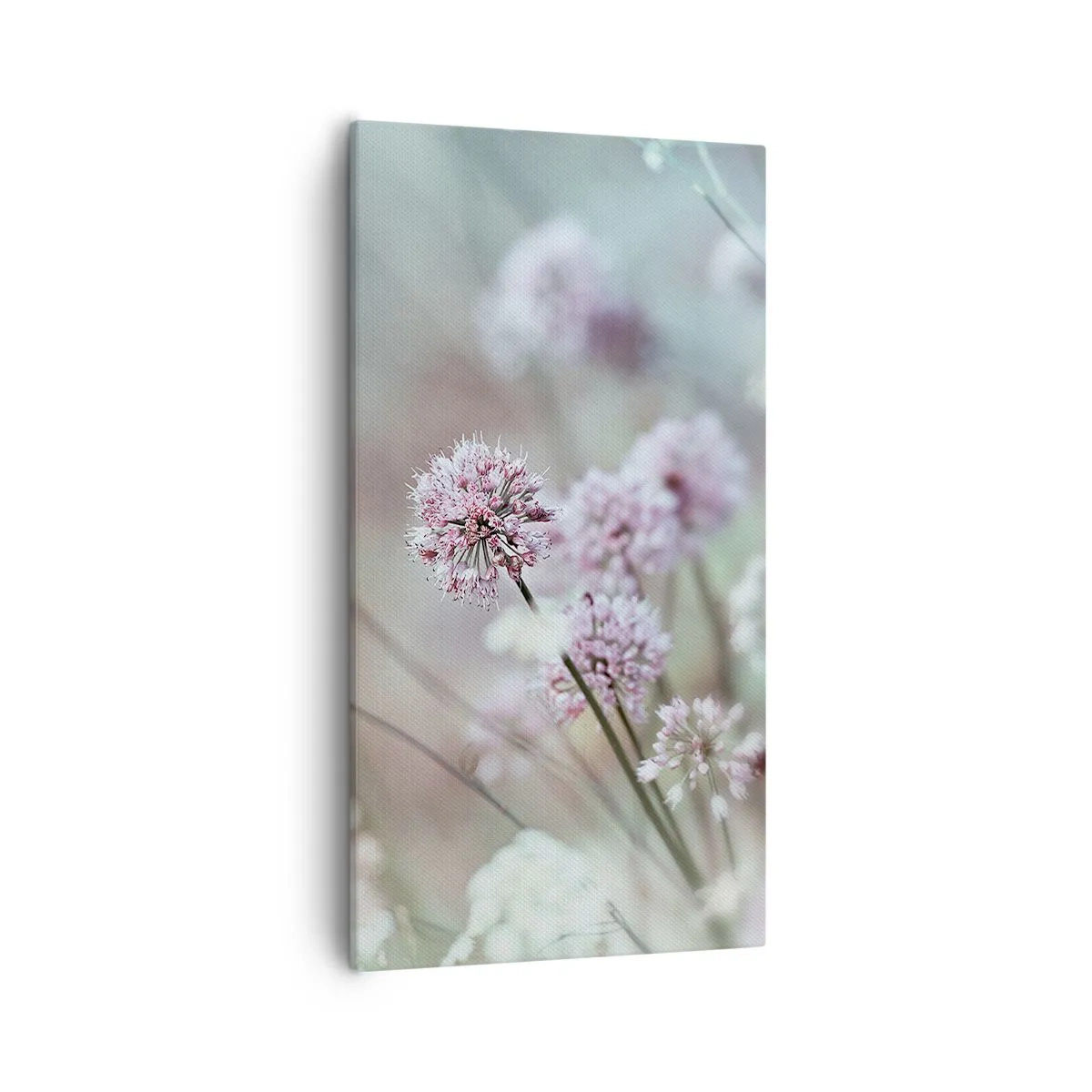 Quadro su tela - Stampe su Tela - Le dolci filigrane delle erbe - 55x100 cm