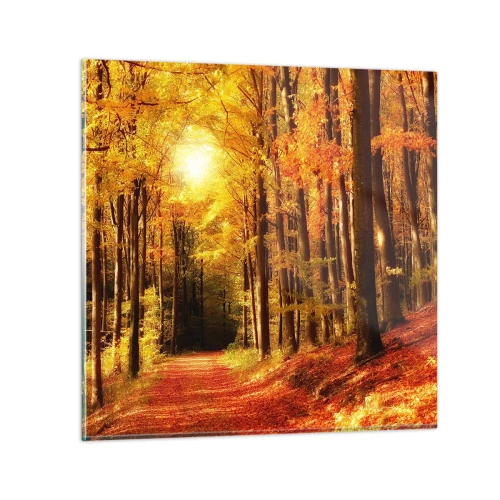 Quadro su vetro - Autunno dorato nella via nel bosco - 50x50 cm