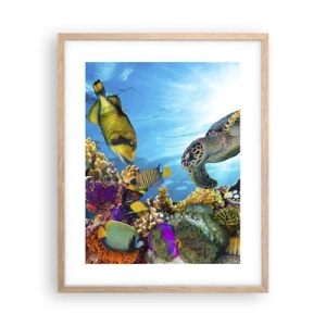Poster in cornice rovere chiaro - Passeggiata corallina - 40x50 cm